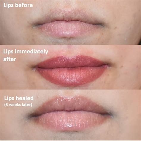 Lip Blush Permanent Makeup Mugeek Vidalondon