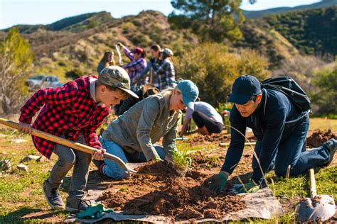 13 Impressive Tree Planting Organizations To Follow Classy