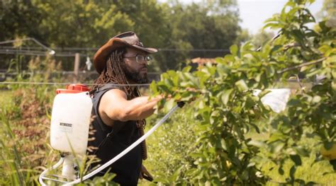 Missouri Has A 500k Incentive For Urban Farmers — If Growers Can