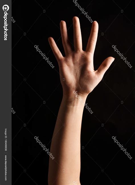 Female Hand Shows Number Five Isolated At Black Stock Photo By ©milkos