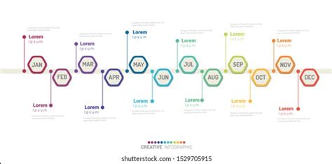 Timeline 1 Year 12 Months Infographics Stock Vector Royalty Free