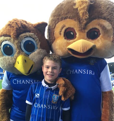 Archived from the original on 15 october 2012 The Sadness of Ozzie Owl - Sheffield Wednesday Matchday ...
