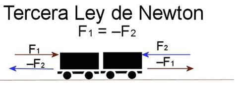 Leyes De Newton Ejemplos Fórmulas Explicación