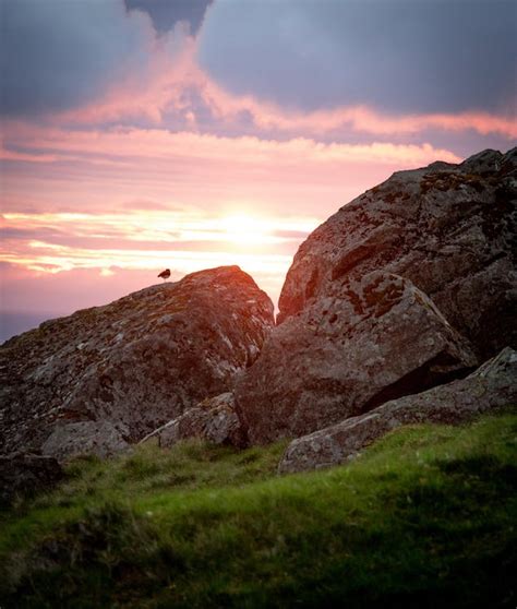 Photo Of Rocks On Grass · Free Stock Photo