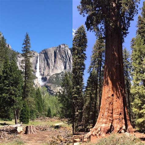 Weekend Getaway Yosemite And Sequoia National Parks Socal Shuffle