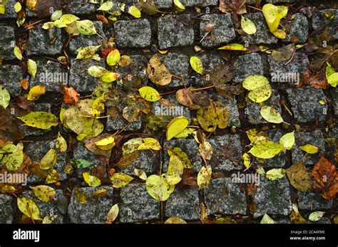 Pavement Pattern Hi Res Stock Photography And Images Alamy