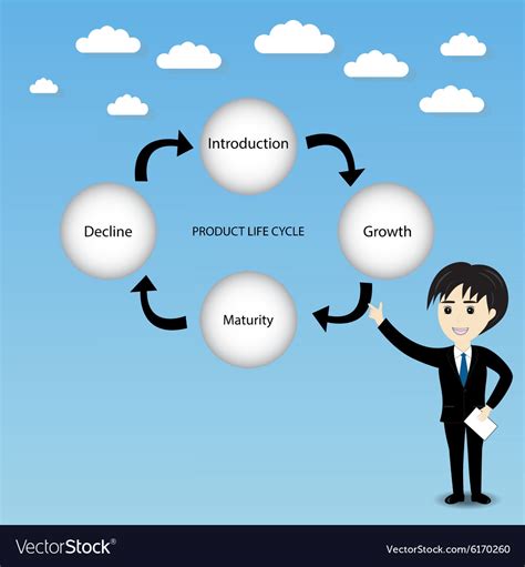 Product Life Cycle Chart Royalty Free Vector Image