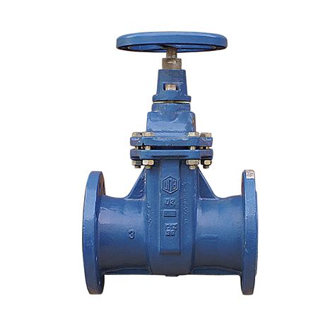 Gate Valves Cast Iron With Brass Seats Pn1016