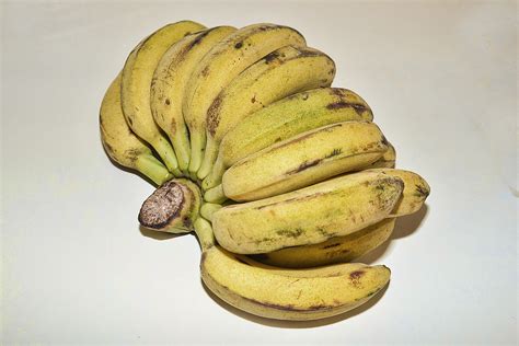 Pisang Cavendish Bananas Pisang Freeze Fitfoodiefinds Potong Susu Slice