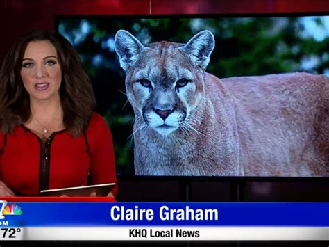 Meeting Set To Address Cougar Incidents In Stevens County