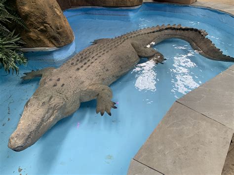 Large Crocodiles, Floating Crocodile Decorations & Pond Decoy