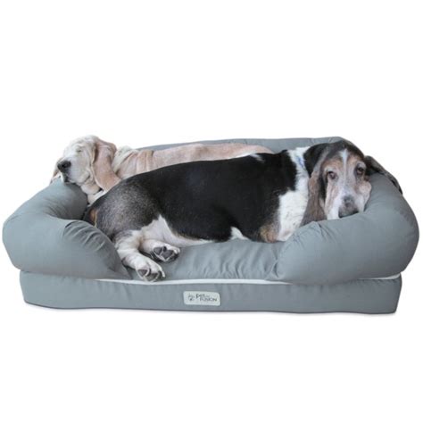 Since they are both large dogs, they need extra large dog beds. Top 10 Extra Large Dog Beds With Memory Foam