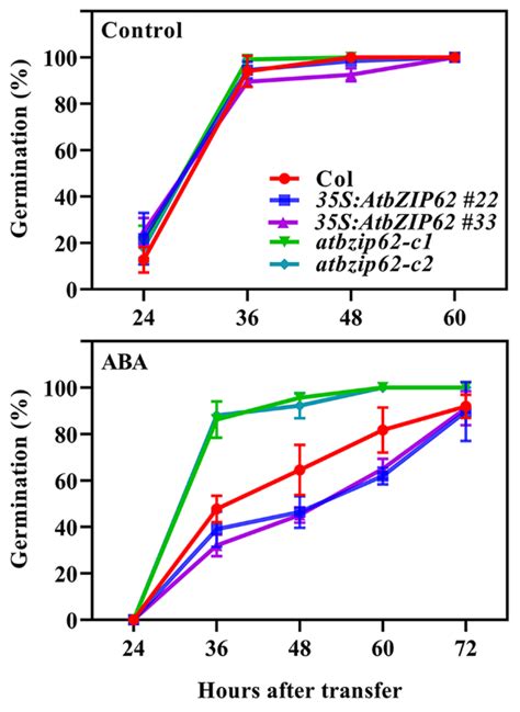 Plants Free Full Text AtbZIP62 Acts As A Transcription Repressor To