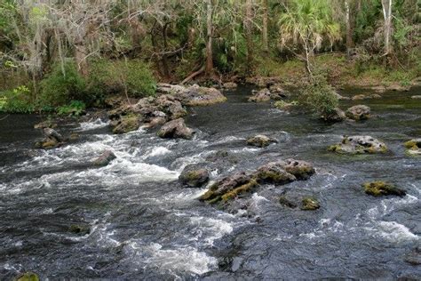 Hillsborough River State Park Is One Of The Very Best Things To Do In Tampa
