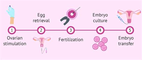 Ivf Surrogacy Process Step By Step