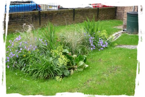 In some communities, the runoff problem is so big that homes with rain gardens qualify for a tax break! Small but Beautiful Raingarden in Islington, London ...