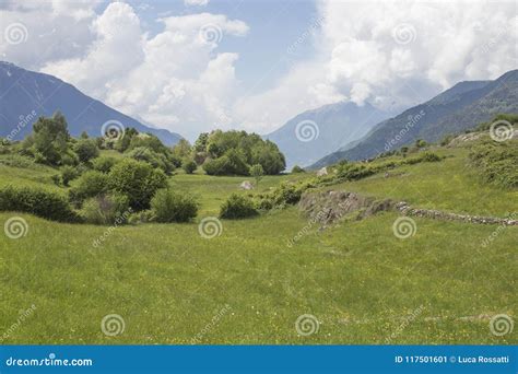 Beautiful Natural Landscape With Green Grass Trees Mountains A Stock