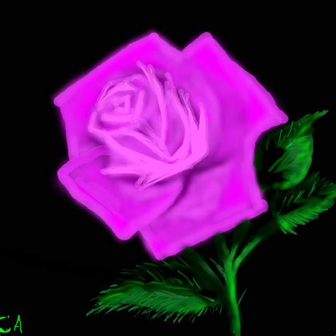 Pink Rose ← A Plants Speedpaint Drawing By Sketchpad Queeky Draw