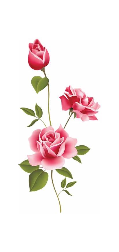 Rose Clip Flower Pink Roses Clipart Floral