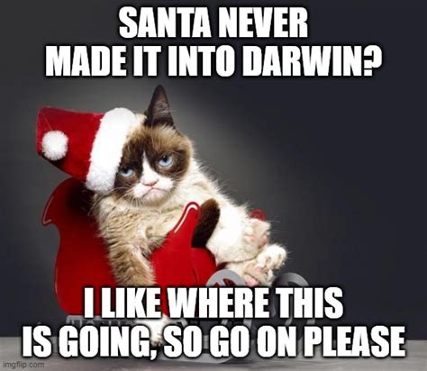 Grumpy Cat Christmas Hd Imgflip