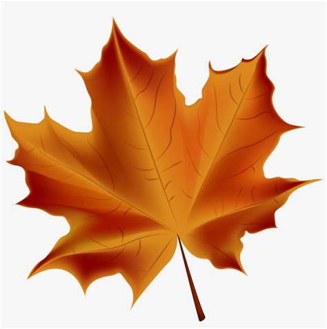 Beautiful Red Autumn Leaf Transparent Png Clip Art Autumn Leaf No