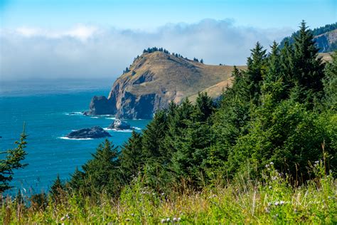 Nature By Nat Photography Oregon Coast Summer 2018