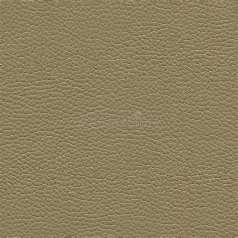 Seamless Leather Texture Stock Photo Image Of Close 161482208