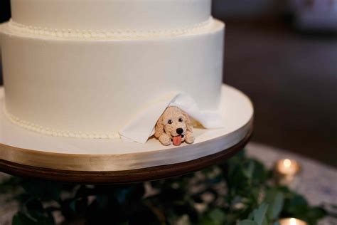 50 Too Cute Ways To Include Your Pet In Your Wedding Wedding Pets