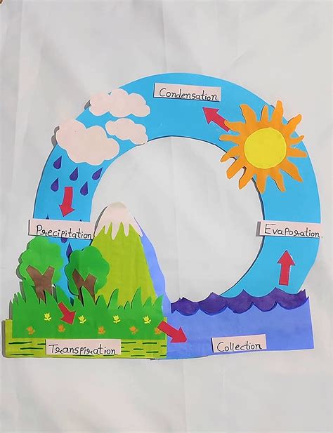 Buy Model Of Water Cycle With Elaborate Explanation Regular Size Multi