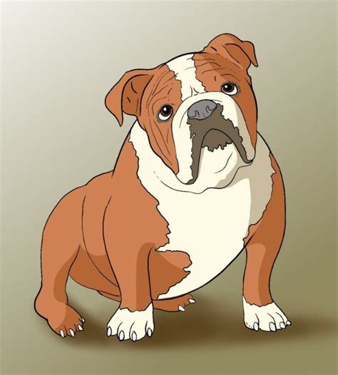 How To Draw A Bulldog Draw Central Bulldog Drawing Dog Stencil