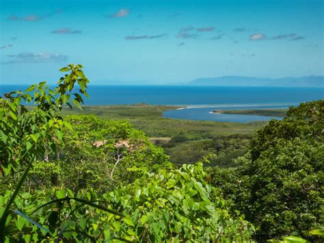 10 Fascinating Daintree Rainforest Facts Distant Journeys