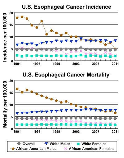 A Snapshot Of Esophageal Cancer National Cancer Institute