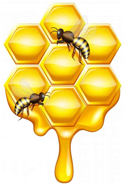 Dripping Honeycomb Honey Bee Wall Decal