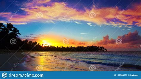 Caribbean Sunset On Tropical Beach With Coconut Palm Trees Stock