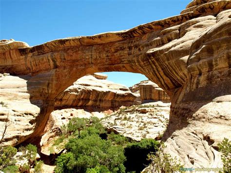 Natural Bridges Photos | Images of this beautiful National Monument!