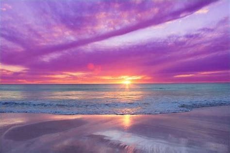 Purple Sunset Beautiful Sunrise Scenery Nature Photography