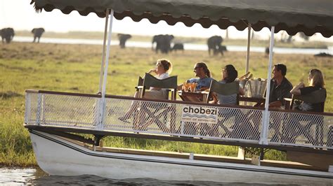 chobe under canvas botswana safari lodges africa odyssey