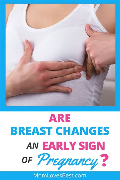 Is It Safe To Breastfeed During Early Pregnancy Mustelausa