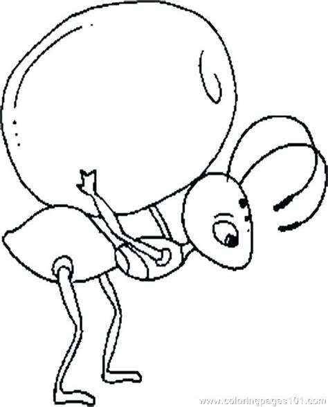 Click the download button to view the full image of ant coloring pages. Ant Coloring Pages For Kids at GetColorings.com | Free ...