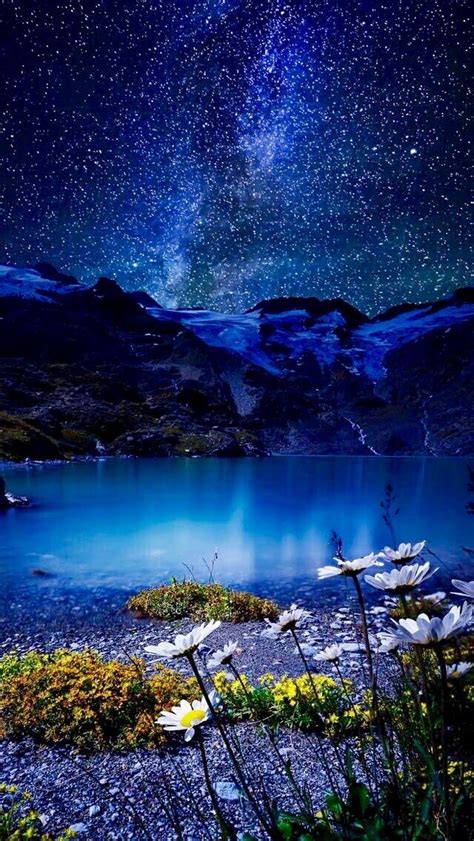 The Night Sky Is Filled With Stars Above Water And Flowers In Front Of