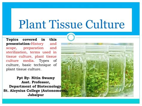 Ppt Introduction To Plant Tissue Culture Powerpoint Presentation Id