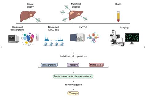 Understanding Tumour Cell Heterogeneity And Its Implication For