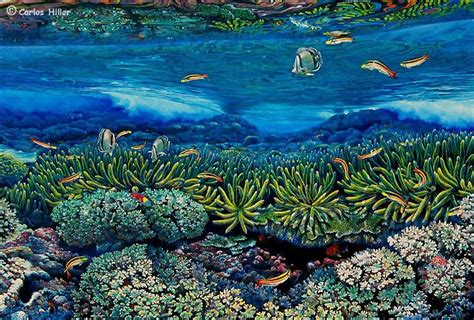 Find images of coral reef. Carlos Hiller - Coral reef and butterfly fish painting ...
