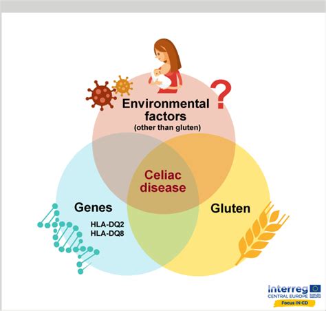 Causes Of Celiac Disease Cafevienape
