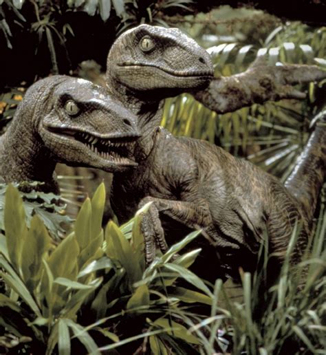 El Velociraptor No Era Como Lo Presentó “jurassic Park”