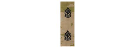 Us Army E8 First Sergeant Ocp Sew On For Cap Only Pair Sta Brite