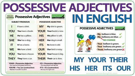 Possessive Adjectives Clipart Free Cliparts Download Images On Clipground
