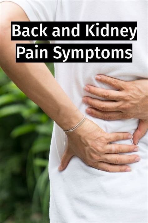 Do Kidneys Cause Back Pain