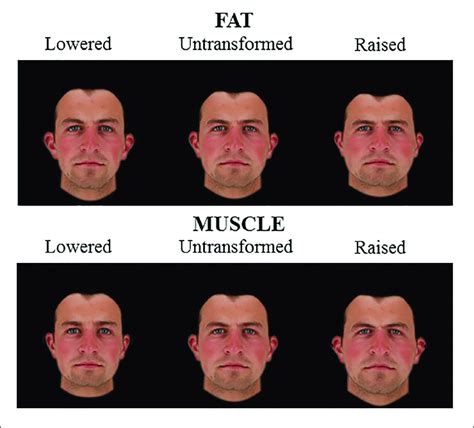 2d male face shape associated with fat mass top and muscle mass download scientific diagram