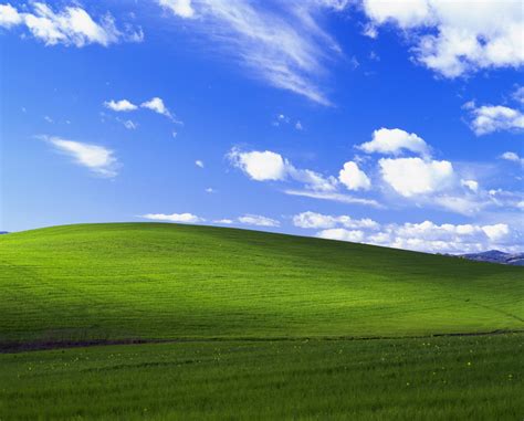 Amazing Microsoft Free Wallpapers Screensavers The Ultimate Guide